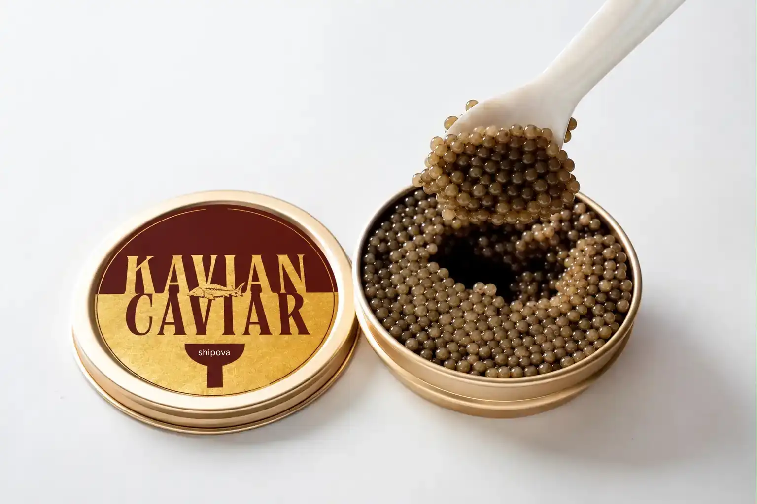 Shipova Caviar Gallery