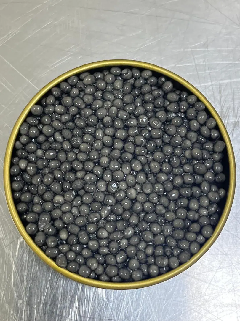Beluga Caviar Gallery