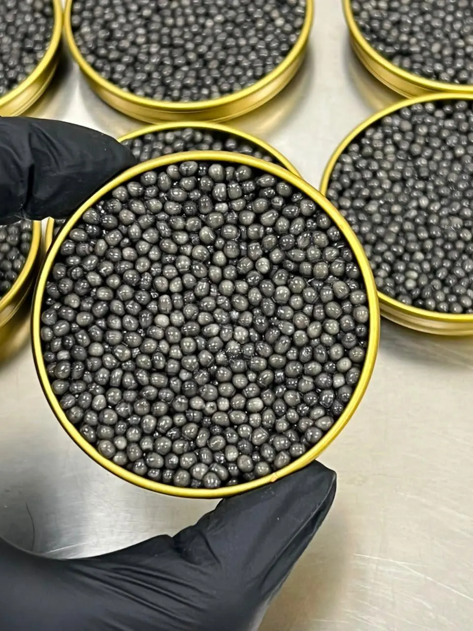Beluga Caviar Gallery