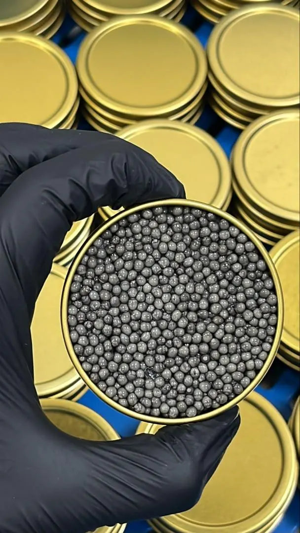 Beluga Caviar Gallery
