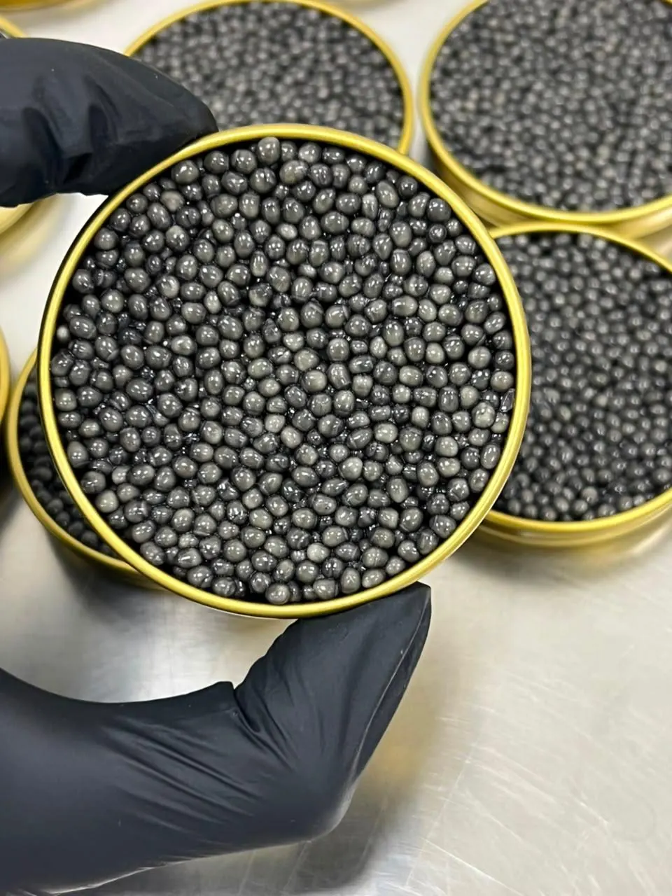 Beluga Caviar Gallery