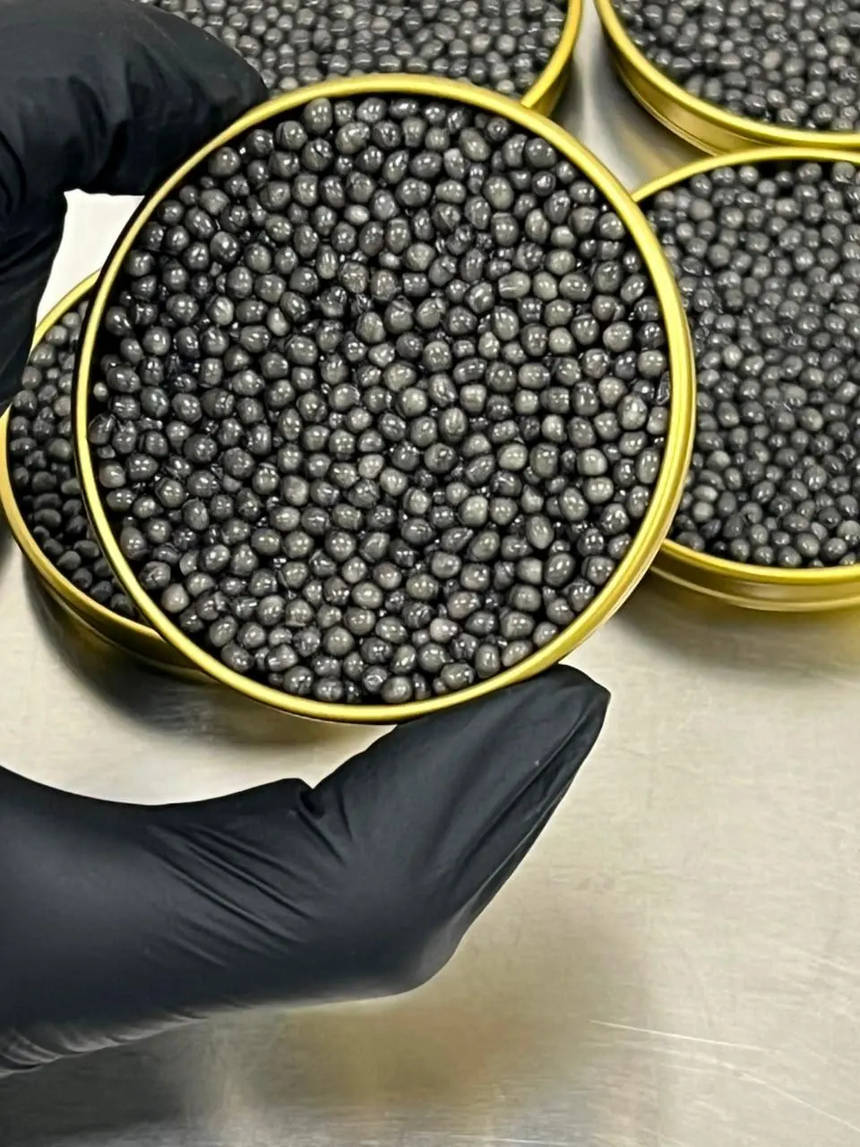 Beluga Caviar Gallery