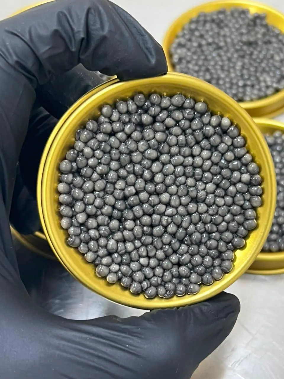 Beluga Caviar Gallery