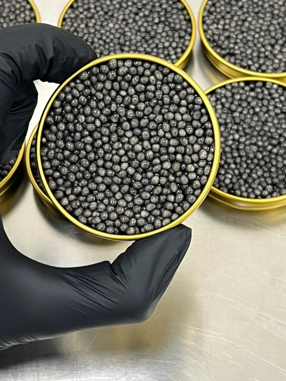 Beluga Caviar Gallery
