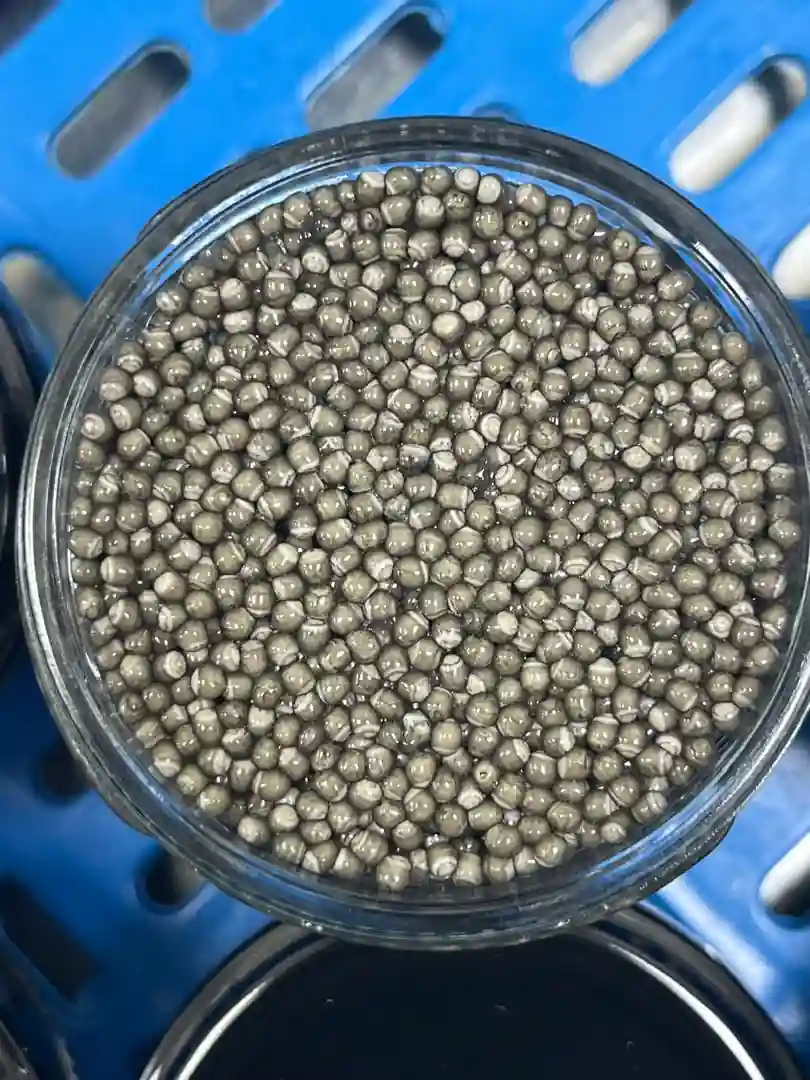 Ossetra Persicus Caviar Gallery