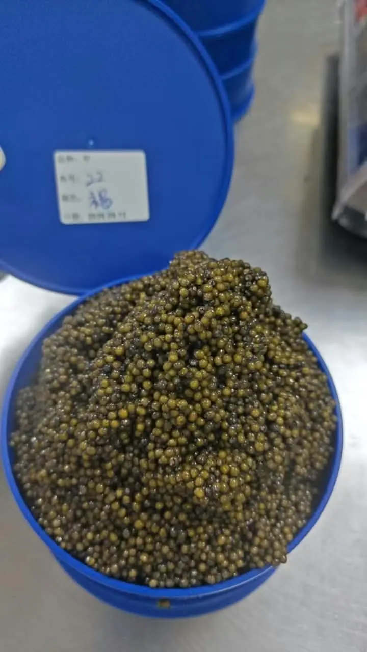 Ossetra Gueldenstaedtii Caviar Gallery