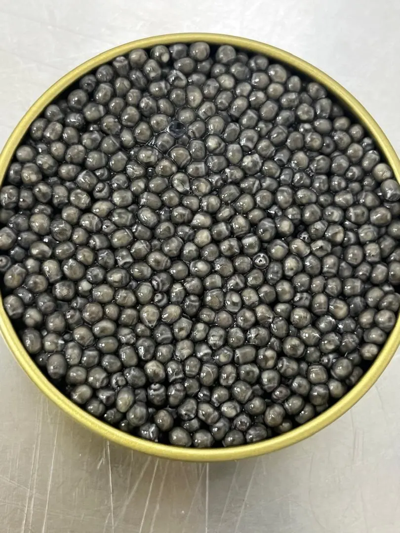 Beluga Caviar Gallery