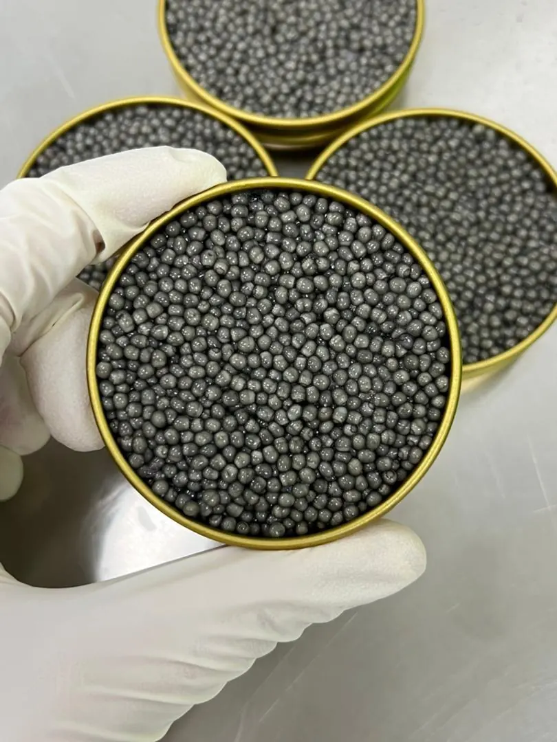 Beluga Caviar Gallery