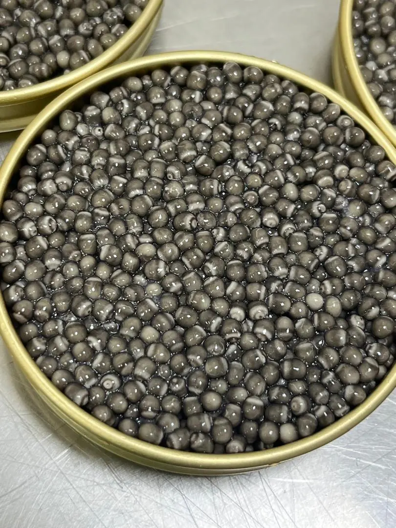 Beluga Caviar Gallery