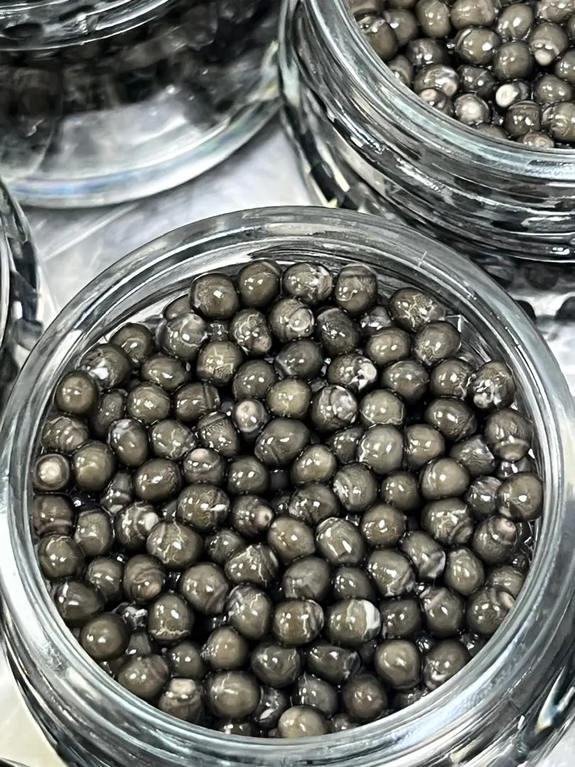 Beluga Caviar Gallery