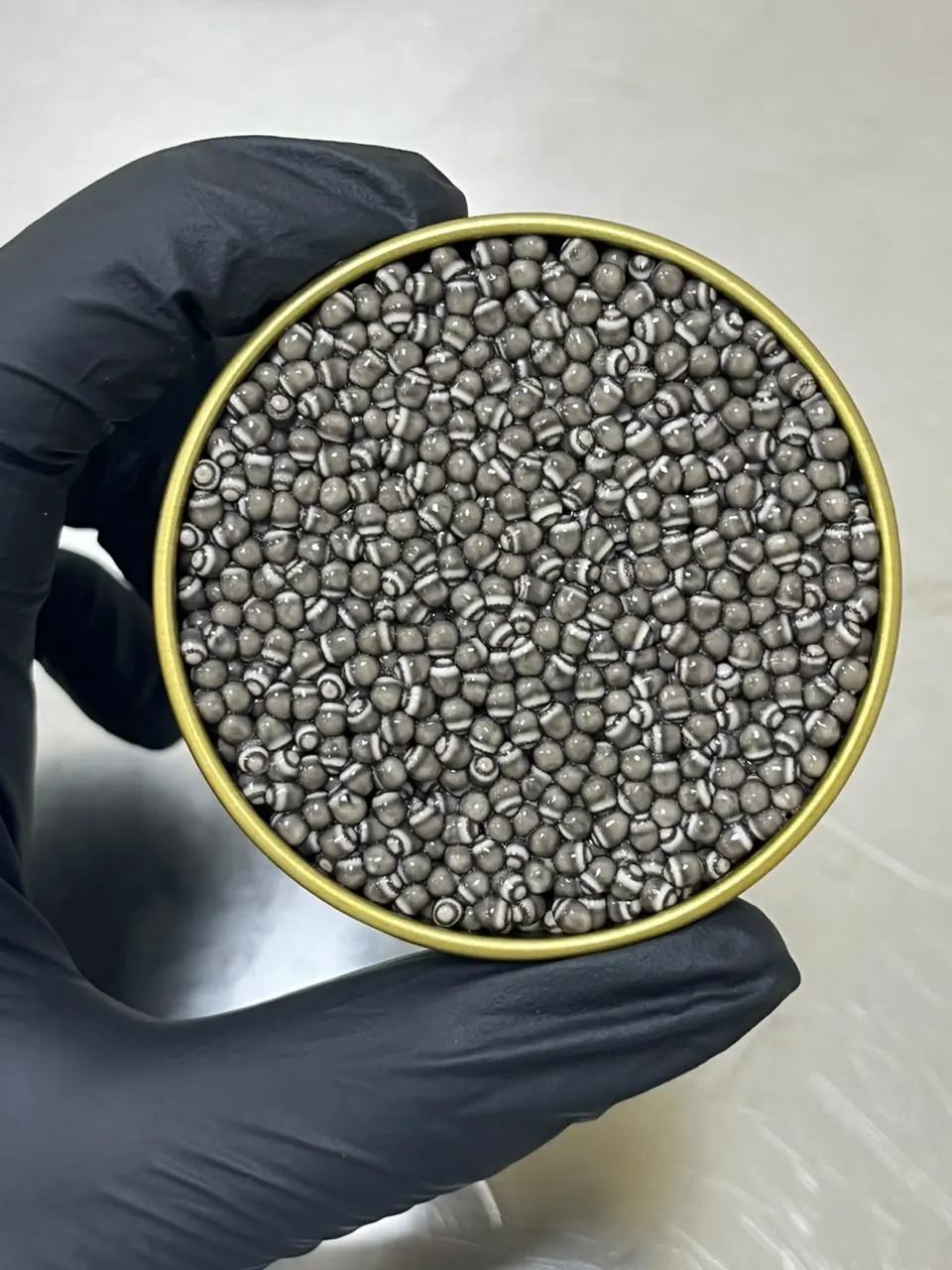 Beluga Caviar Gallery