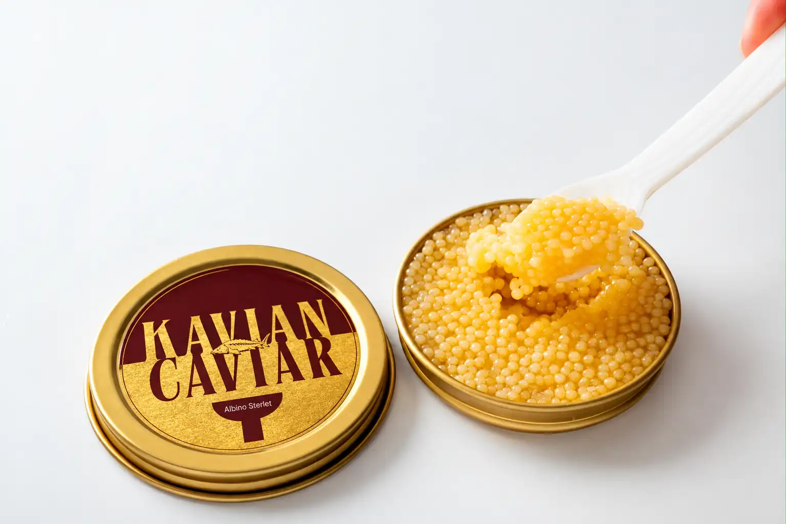 Albino Sterlet Caviar Gallery