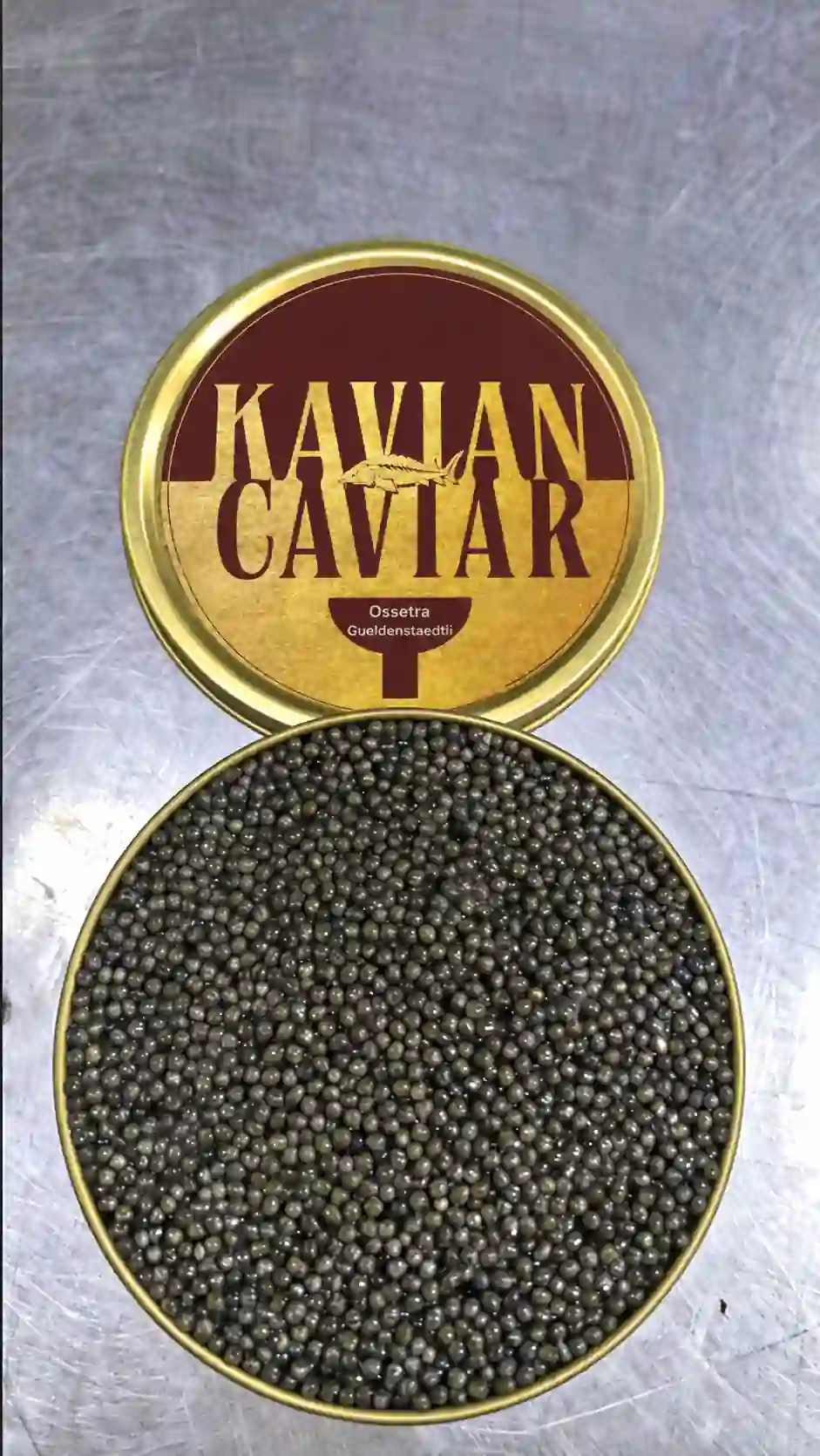 Ossetra Gueldenstaedtii Caviar Gallery