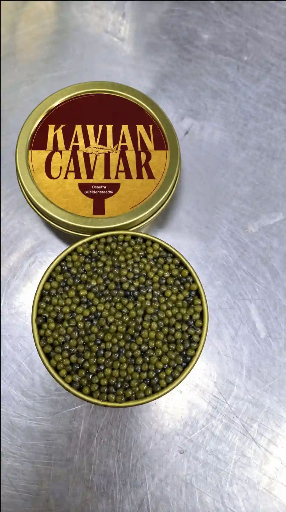 Ossetra Gueldenstaedtii Caviar Gallery