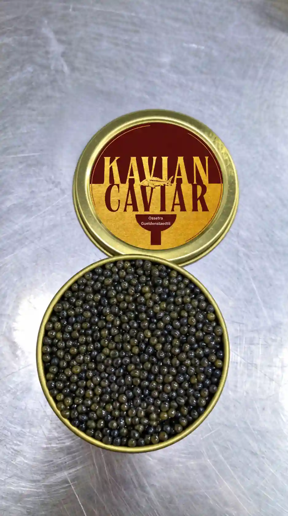 Ossetra Gueldenstaedtii Caviar Gallery
