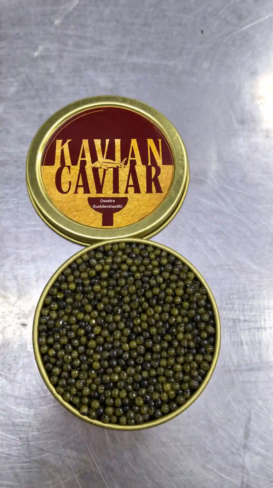 Ossetra Gueldenstaedtii Caviar Gallery