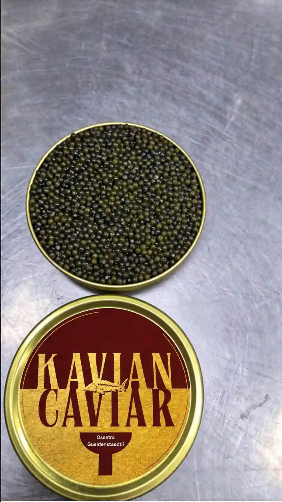 Ossetra Gueldenstaedtii Caviar Gallery