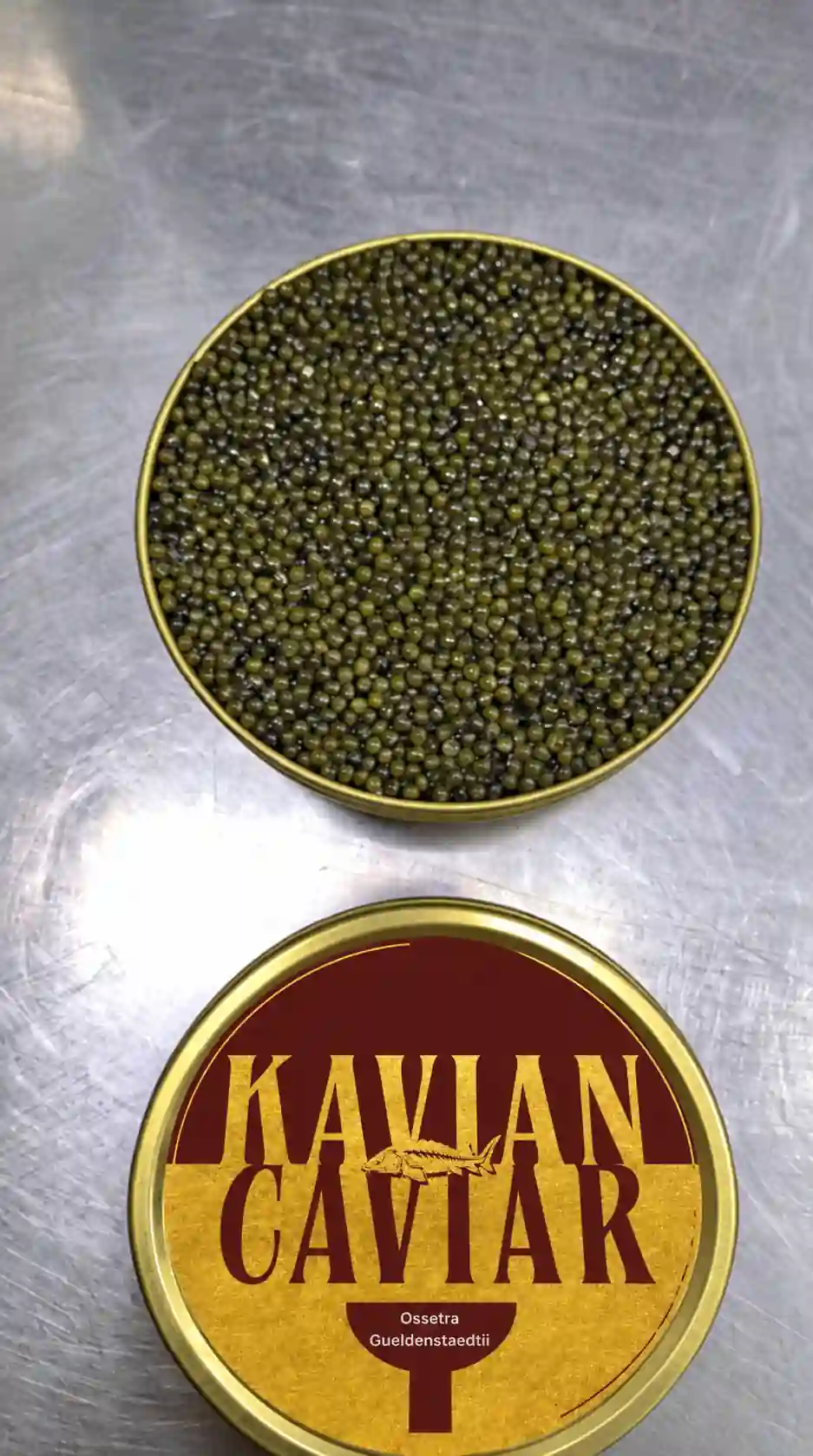 Ossetra Gueldenstaedtii Caviar Gallery