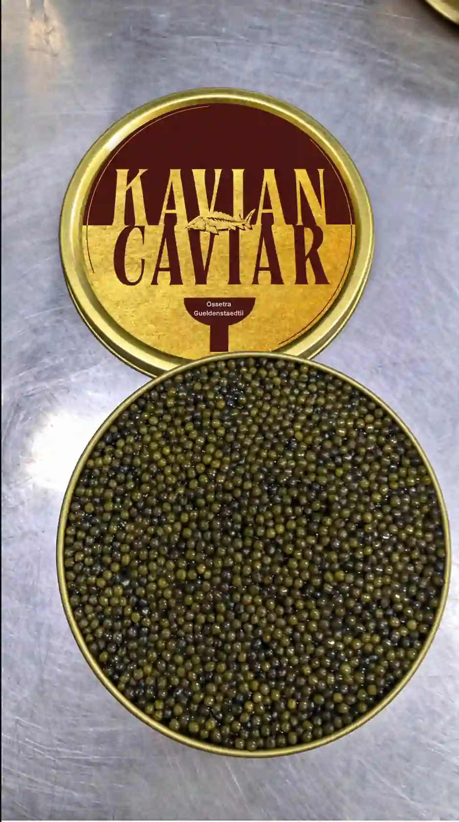Ossetra Gueldenstaedtii Caviar Gallery