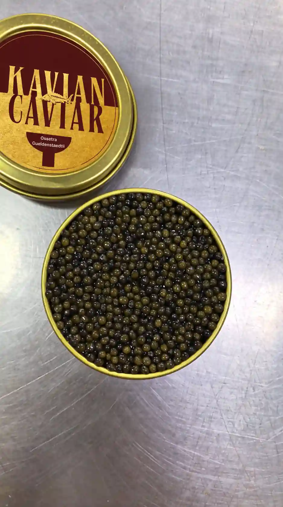 Ossetra Gueldenstaedtii Caviar Gallery