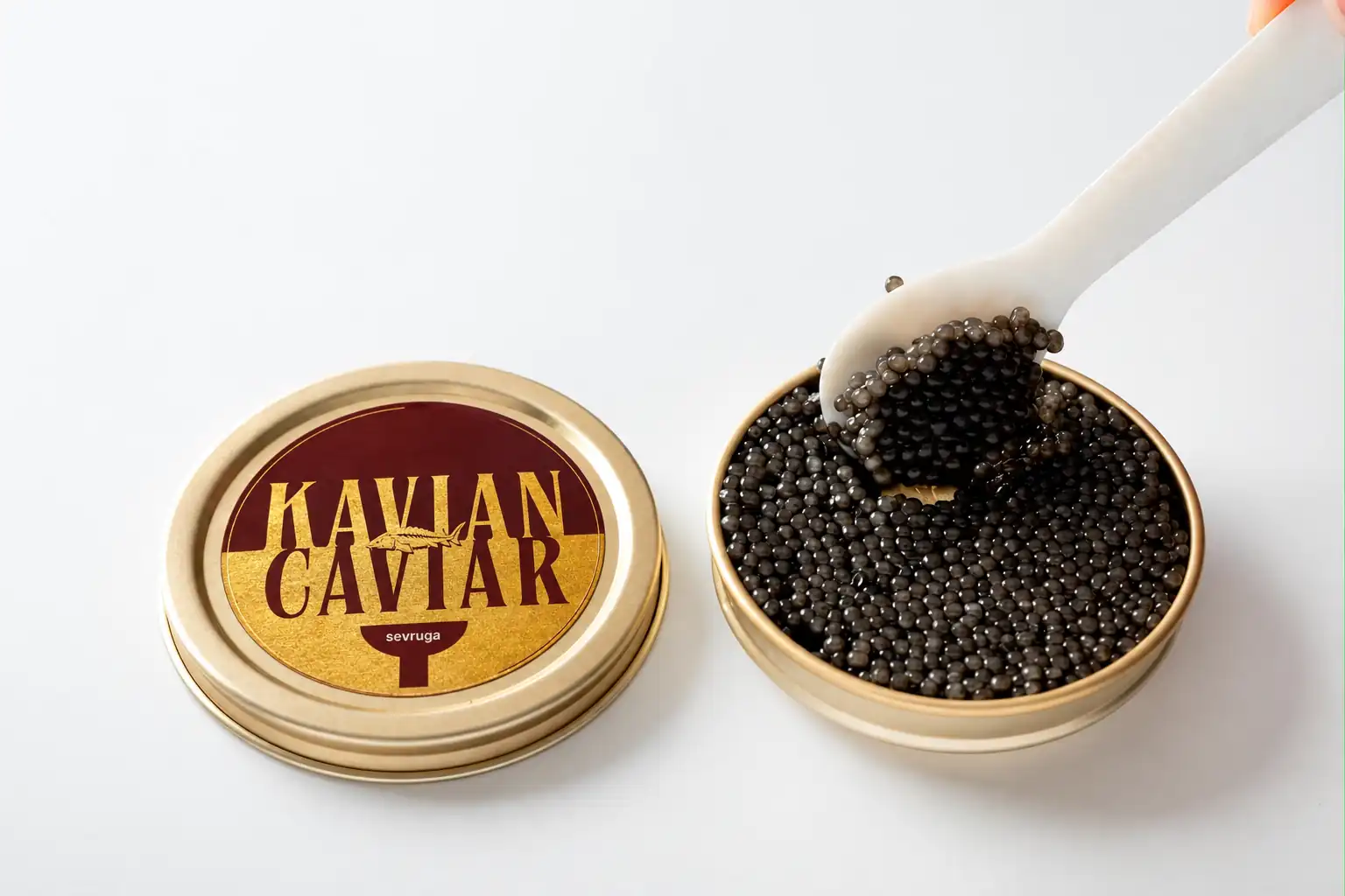 Sevruga Caviar Gallery